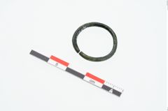 Foto von Bronzering (NHMW-PRAE-025230a)